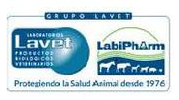 Grupo Lavet